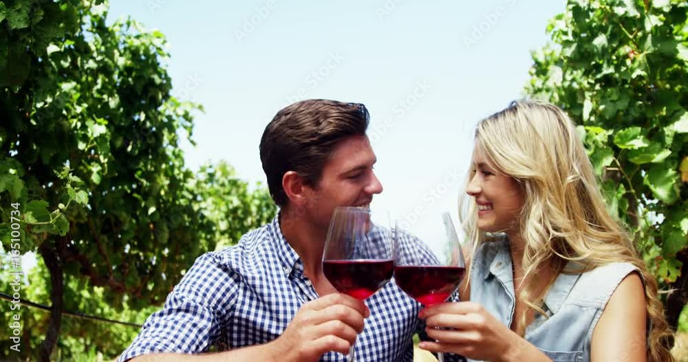 Happy couple toasting glasses of wine in vineyard Happy couple toasting glasses of wine in vineyard