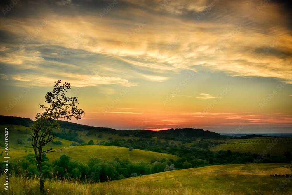 Landscape sunset back light tree hills grass clouds evening Landscape sunset back light tree hills grass clouds evening