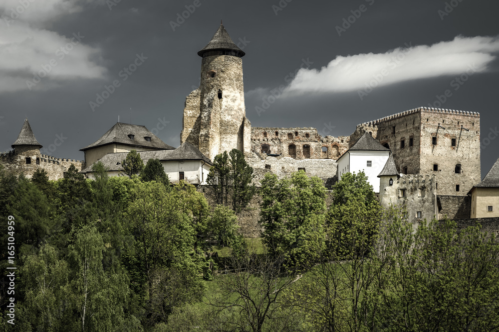 The Lubovna castle, Slovakia