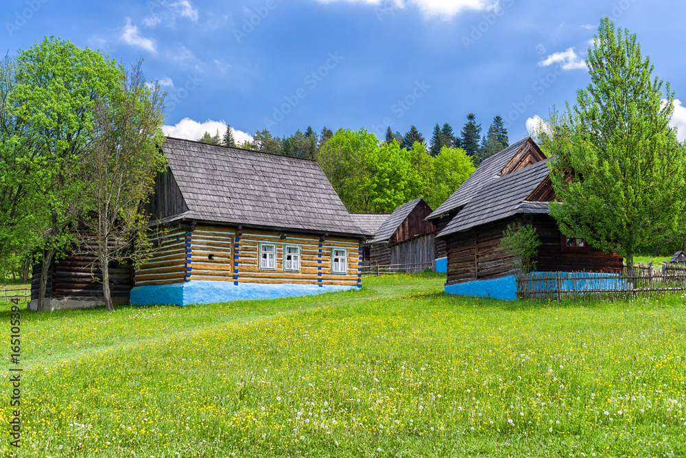 Rural house in village