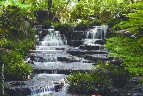 Small waterfall streaming down black rocks in between green vegetation.