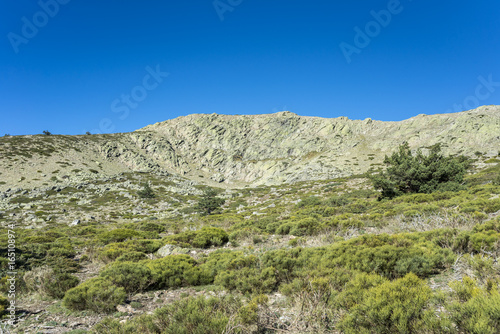 Padded brushwood (Cytisus oromediterraneus and Juniperus communis) next to the Pico del Nevero (Snowfield Peak  2.209 metres), in Guadarrama Mountains National Park, Spain © ihervas