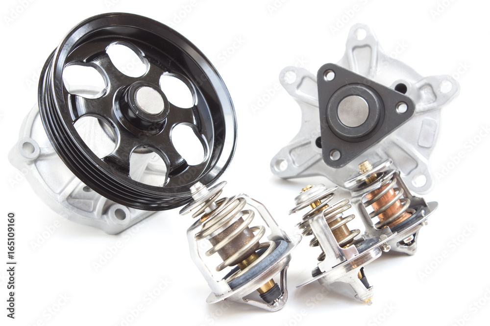 Naklejka premium water pump and thermostat