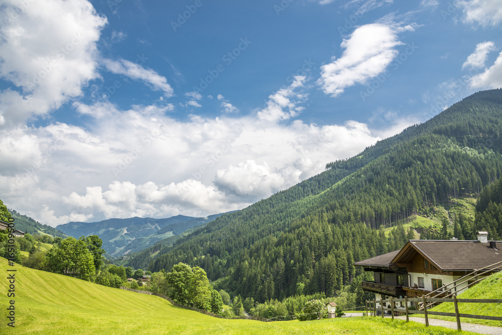 Autriche/paysage avec montagnes et forêt