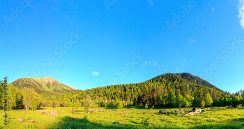 Meadow near the mountains Arkhyz. The beautiful panorama summer landscape with forest mountain.