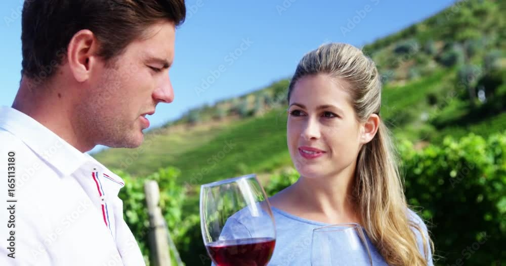 Couple interacting while examining wine in vineyard Couple interacting while examining wine in vineyard
