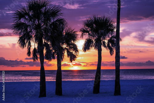 Fotografie Palm Trees Silhouette with Sunset, Horizontal
