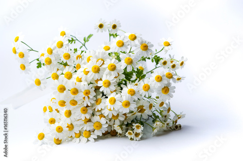 Fototapeta Naklejka Na Ścianę i Meble -  Chamomile flowers bouquet on white background