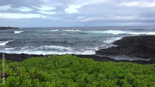 Lava rocky shoreline with the Scaevola taccada vegetation. Punaluu Black Sand Beach. Big Island, Hawaii, USA photo