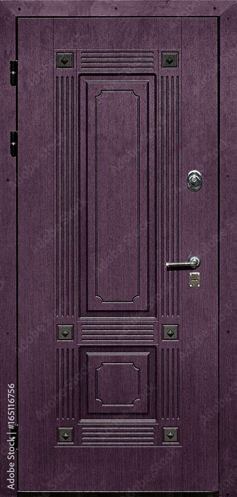 Entrance door (metal door) Entrance door (metal door)