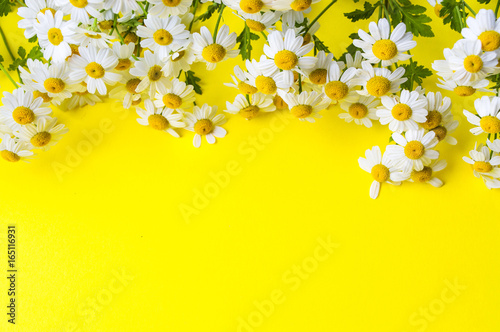 Fototapeta Naklejka Na Ścianę i Meble -  Chamomile flowers on yellow background