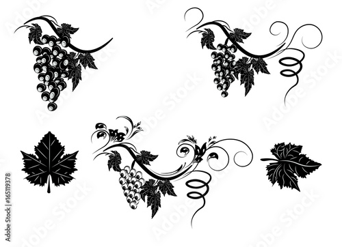 grapes
