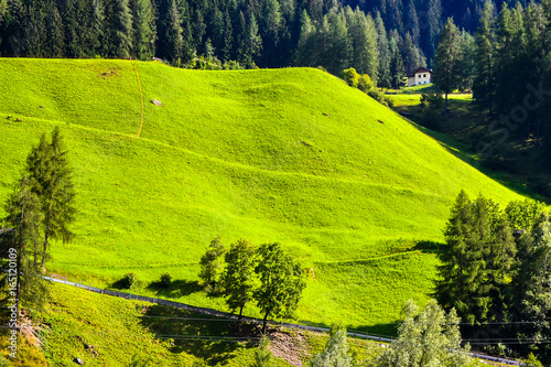Mountain summer landscape with green grass meadow, Austria