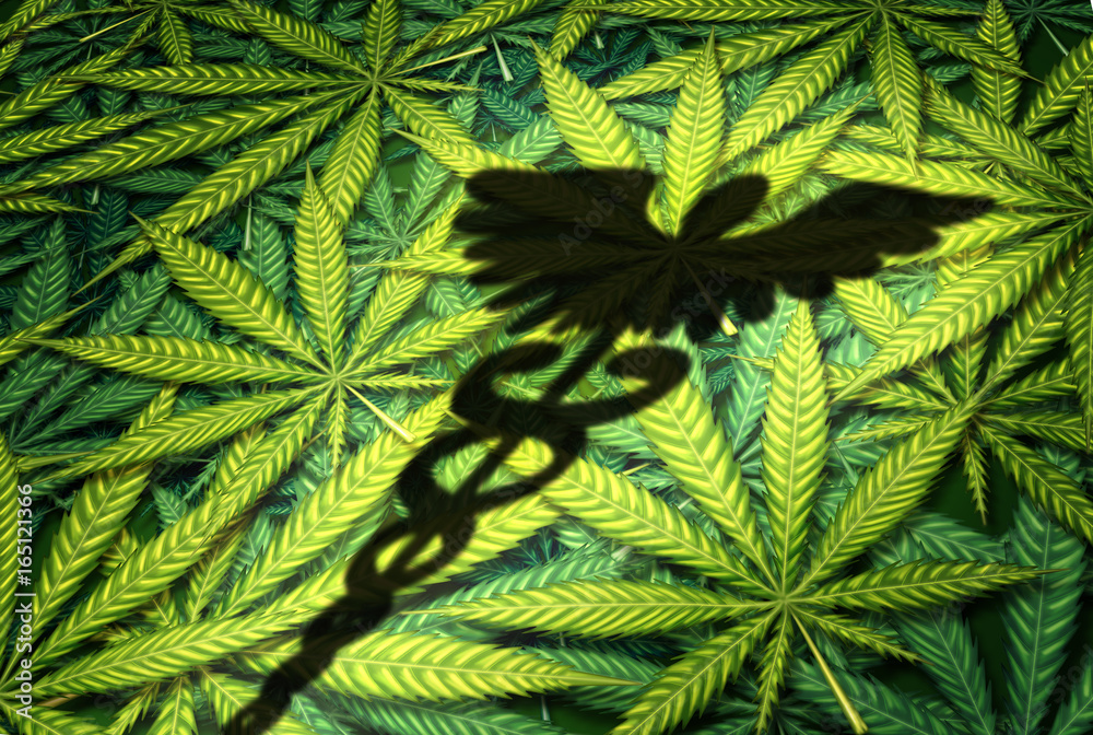 Marijuana Medical Marijuana Medical