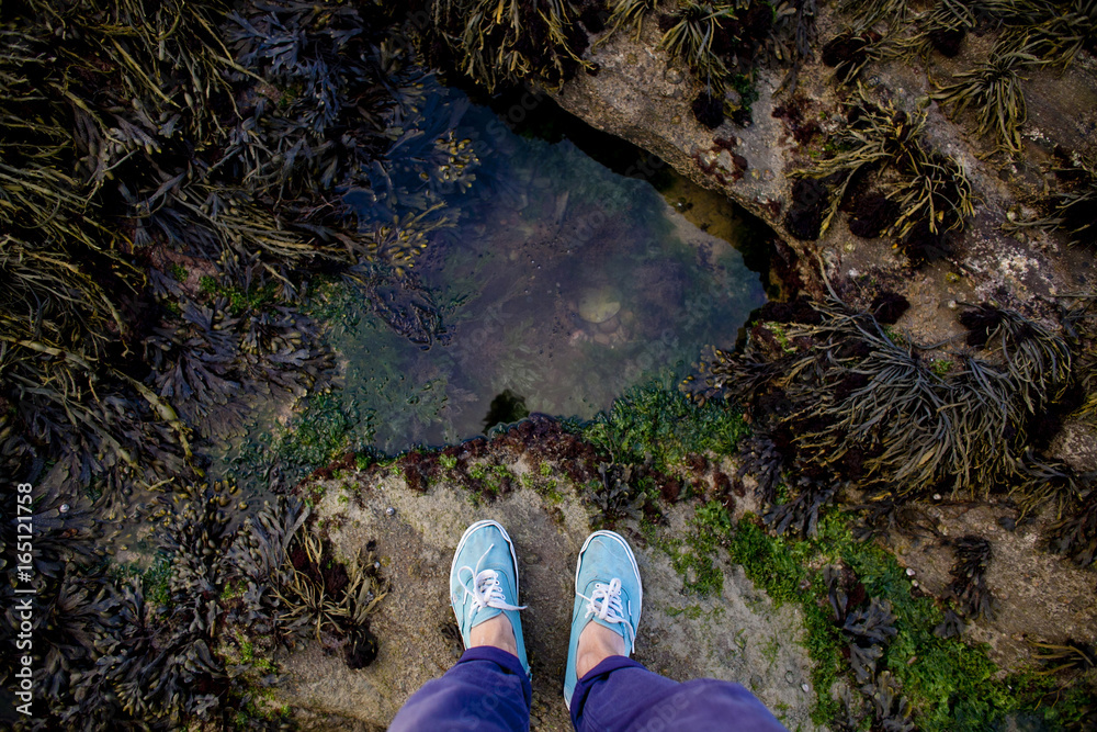 A person standing on slippery rocks covered with seaweed and moss A person standing on slippery rocks covered with seaweed and moss