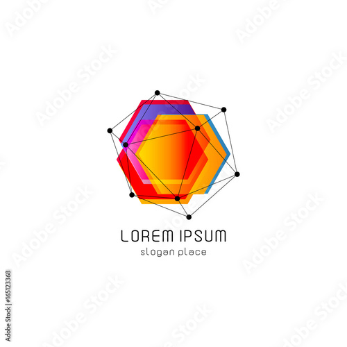 Bright colorful abstract poly construction logotype, unusual innovate design logo template, isolated polygon shape, spiderweb from black lines with dots on corners, illustration on white background