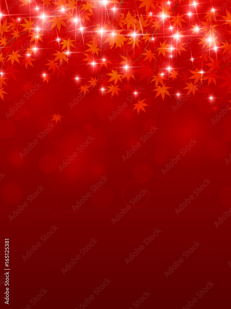紅葉 秋 風景 背景 紅葉 秋 風景 背景