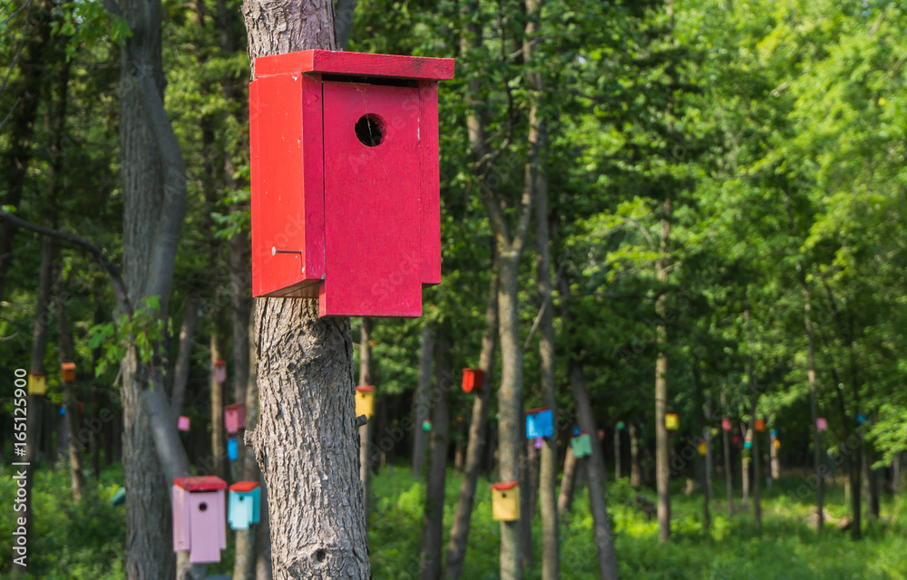 birdhouse forrest  with many brightly colored birdhouses  built to attract tree swallows  in order to control mosquitoes
