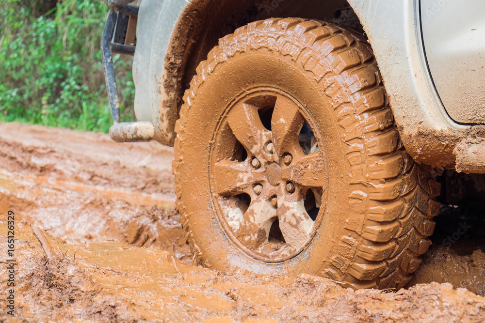 Car tire on dirt road with the trunk of a fallen tree in a forest. Car tire on dirt road with the trunk of a fallen tree in a forest.