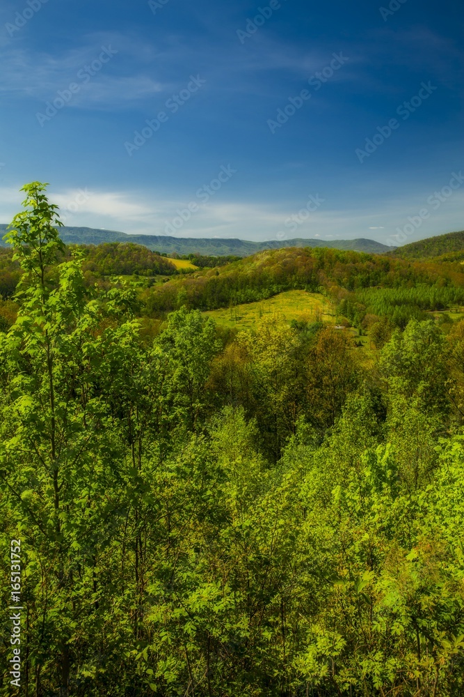 Spring, Foothills Parkway Spring, Foothills Parkway