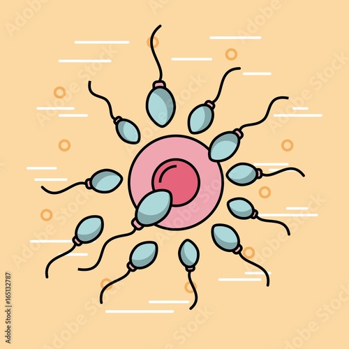 Female fertilization process icon vector illustration design graphic