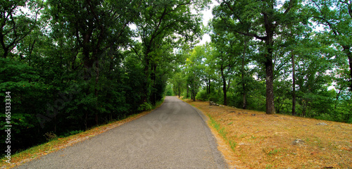 Oak Mountain Drive / View from Oak Mountain State Park near Birmingham, Alabama photo