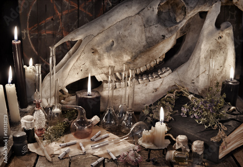 Black candles, scary skull, manuscripts and herbs. Mystic Halloween still life  photo