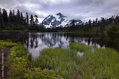 Pacific North West Cascade Mountains Mt. Baker Area Rain Forest © Jason