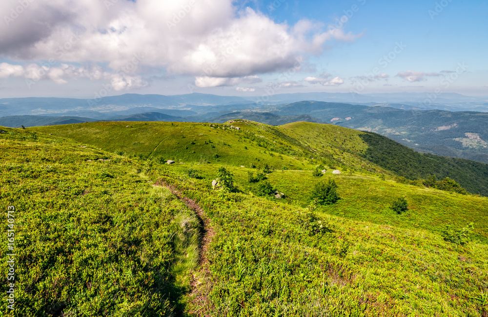Fototapeta premium path through the mountain ridge in summer