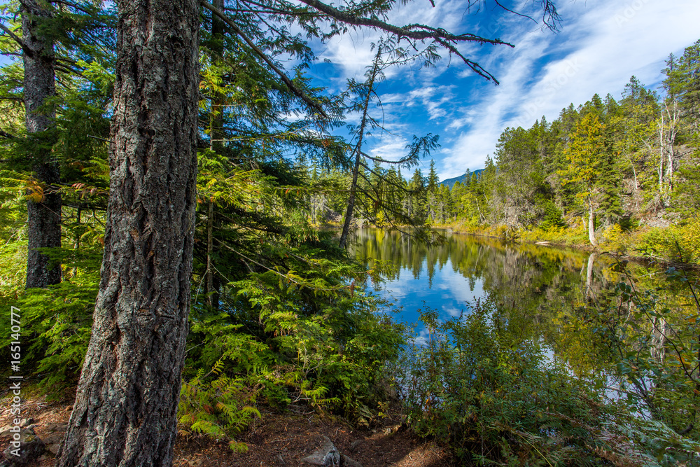 Fototapeta premium Swim Lake, Brandywine Falls Provincial Park, BC, Canada