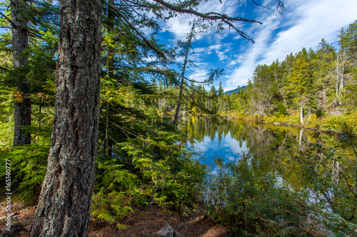 Swim Lake  Brandywine Falls Provincial Park  BC  Canada