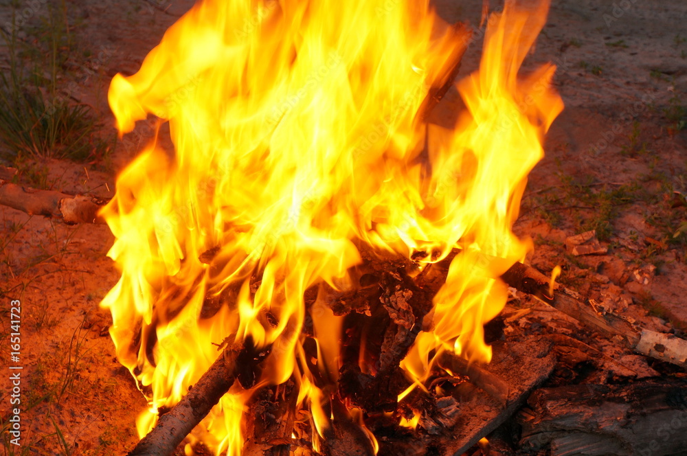 Bright flame of fire from birch bark and firewood in the evening forest Bright flame of fire from birch bark and firewood in the evening forest