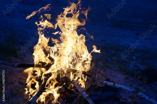 Bright flame of fire from birch bark and firewood in the evening forest