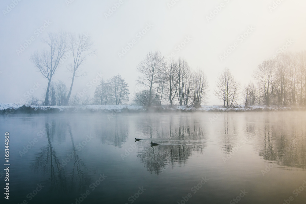 Landscape in the mist of dawn Landscape in the mist of dawn