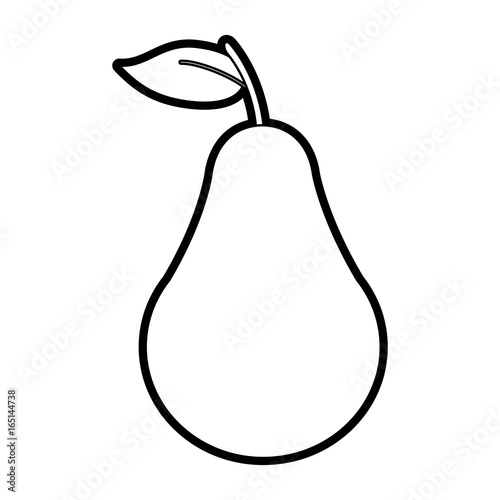 pear vector illustration