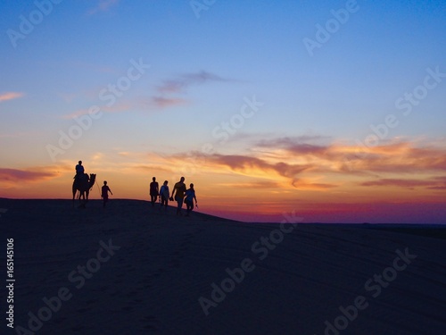 Jaisalmer india   camel safari