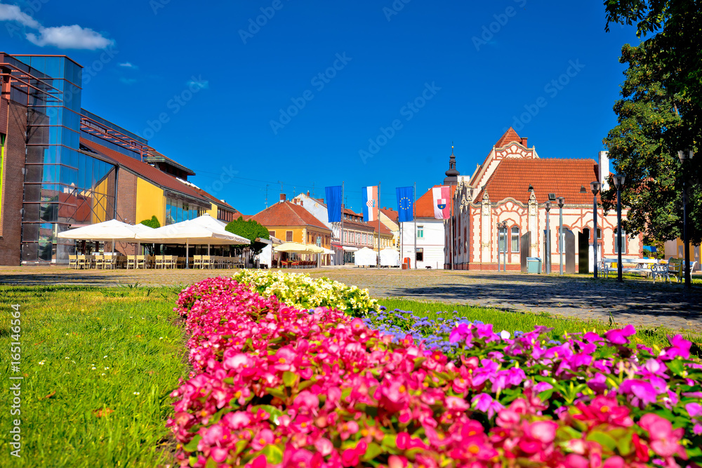 Town of Cakovec main square view