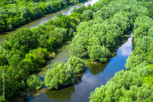 Flooded forests near river Danube, Slovakia