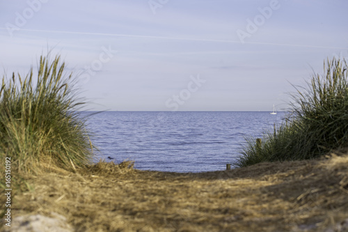 Fototapeta Naklejka Na Ścianę i Meble -  Sanddüne am Meer