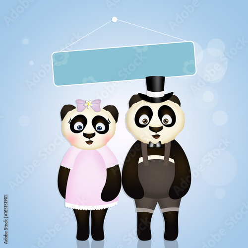 Fototapeta Naklejka Na Ścianę i Meble -  pandas in love
