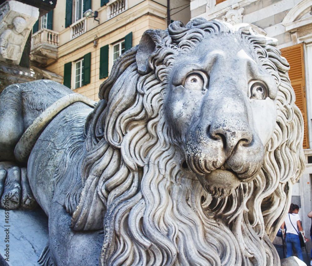 Stone lion in close up