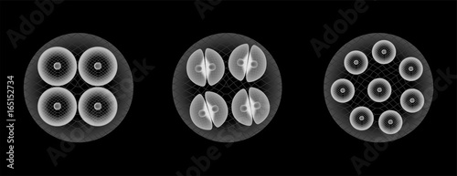 stem cell part 2 vector