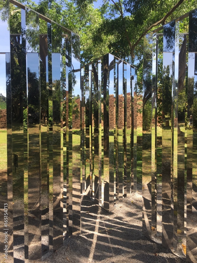 Fototapeta premium Arbre Miroirs 