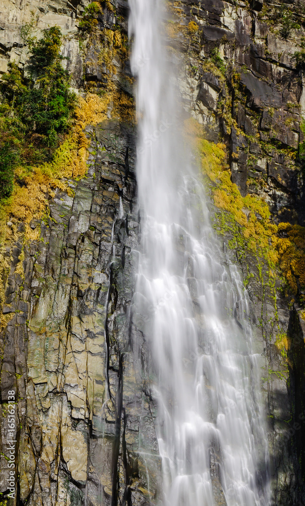 Fototapeta premium Great Falls of Nachi in Japan