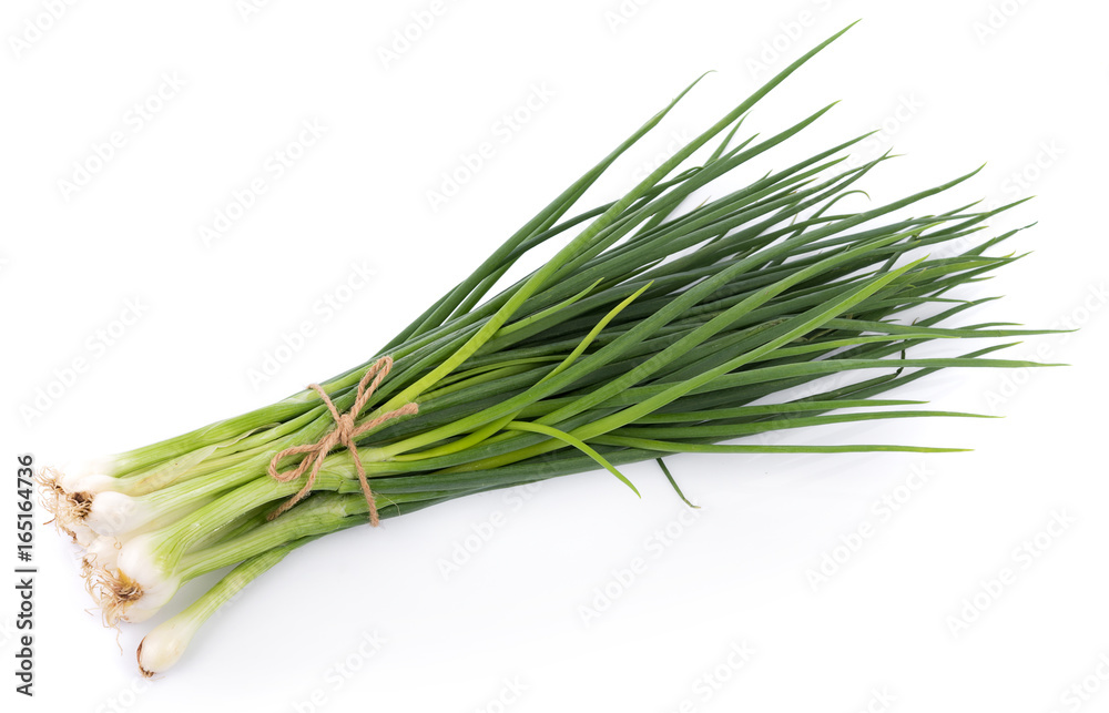 Green onion isolated on the white background Green onion isolated on the white background