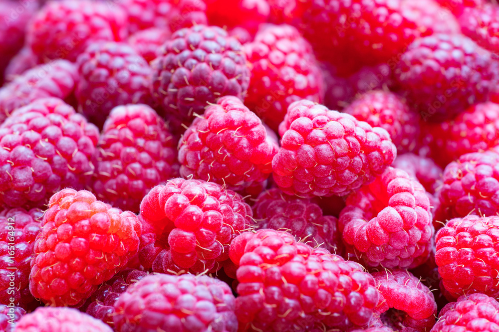 Fresh ripe raspberries, close-up. Raspberry background Fresh ripe raspberries, close-up. Raspberry background
