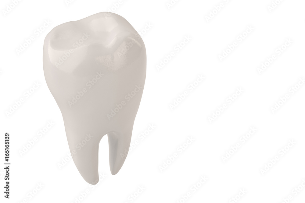 Clean tooth on white background 3D illustration. Clean tooth on white background 3D illustration.