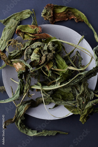 Dried comfrey herbs in concrete bowl  photo