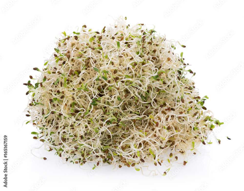 heap of alfalfa sprouts on white background heap of alfalfa sprouts on white background