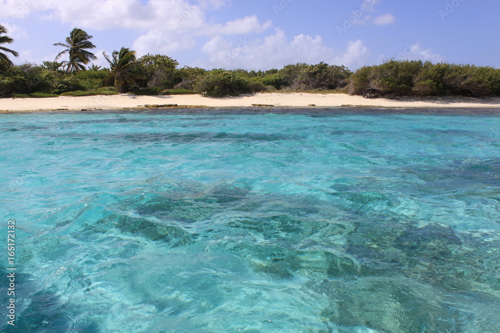 Fototapeta premium caraïbes île mer petit tabac